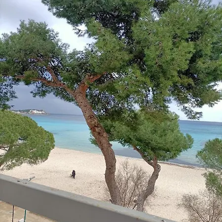 Il Cristallo Sul Mare Homestay Mondello
